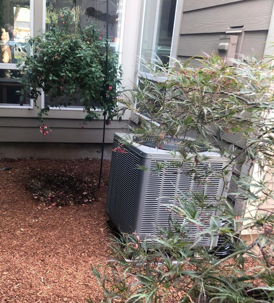 Ground AC unit sitting atop a wood chip covered lawn and surrounded by various trees.